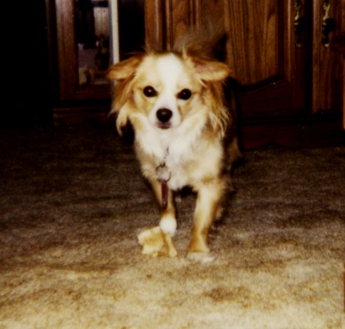 Buffy again!